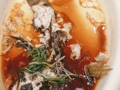 -高老庄新家宴(北斗星广场店)