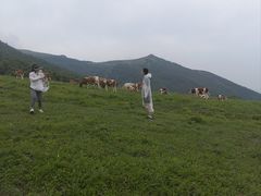 -灵山