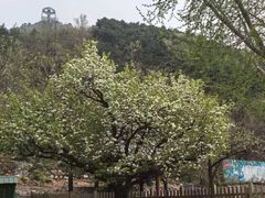 -京东石林峡风景区
