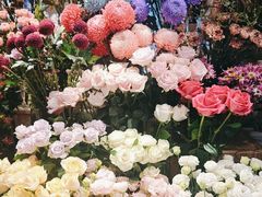 -谷莠子花艺气球派对·绿植造景·花艺沙龙(东海缤纷天地店)