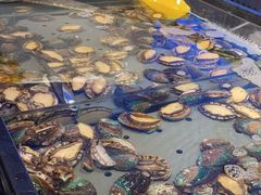 -海天盛宴潮汕蒸汽海鲜高端自助形象店