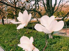 -盛江山自助料理(奥莱锦辉购物广场店)