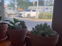 -AHAVA·Fang Baking Studio