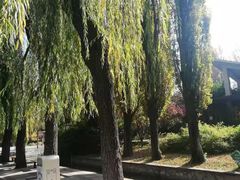 -大兴滨河森林公园