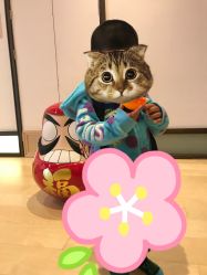 -龙文宝贝上门婴儿理发满月剃胎毛(闵行店)