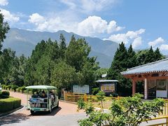 -崇圣寺三塔文化旅游区