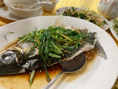 -金豪沙姜鸡饭店(昌平路店)