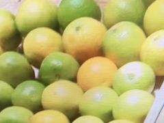 -珠海棕泉水疗酒店(拱北口岸高铁站店)