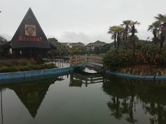 -上海棕榈滩海景酒店