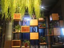 -藤野造型·专业烫染店