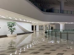 -国际青年会议酒店-苏莱斯餐厅