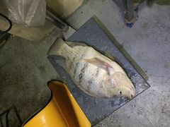 -溪悦渔庄(九龙湖店)
