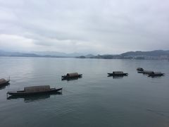 -万景饭店·鱼街农家菜