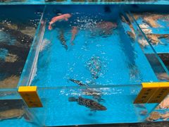 -瓯菜排档·温州海鲜(玕南店)