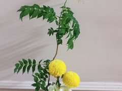 -T11生鲜超市(朝阳公园店)