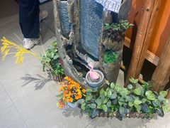 -冰川冷面·延边菜·炭烤串(观前店)