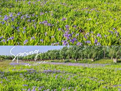 -汉长安城未央宫国家考古遗址公园