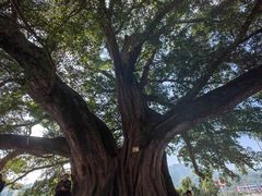 -古田会议纪念馆