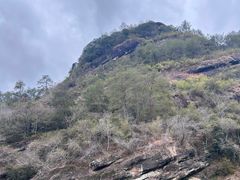 -九曲溪竹筏码头