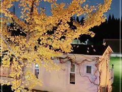 -常州花鸟园酒店(西太湖品牌优选店)