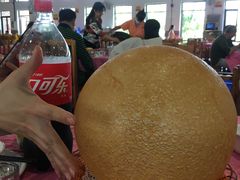-侠成水上农庄(工业大道店)