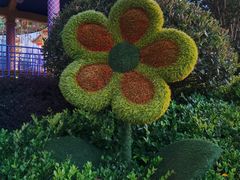 -七彩云南欢乐世界