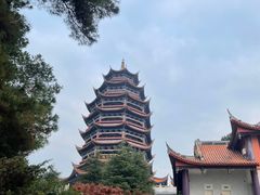 -铁山坪森林公园