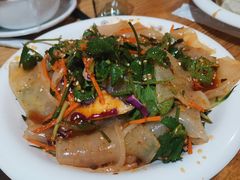 风味大拉皮-大东北(武侯祠店)
