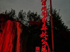 -合肥滨湖国家森林公园