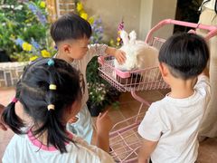 -HERRE·FARM 赫尔露营农场·团建聚会包场