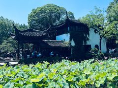 -拙政园