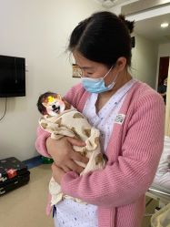 -复旦大学附属妇产科医院(杨浦院区)