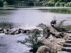 -花溪公园