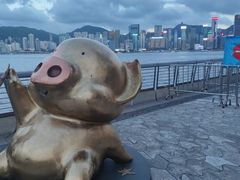 -星光大道
