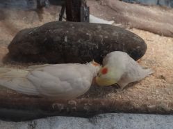 -Zoolung Zoolung动物主题公园(海信广场店)