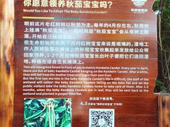 -华侨城湿地公园