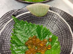 -半岛翡丽海鲜自助餐厅(观风亭店)