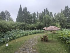 -百翠山居.家飨餐厅