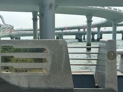 -演武大桥观景平台