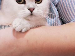 -十年猫舍·猫咪专门店(普陀店)
