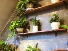 -帽帽家只卖生蚝·烧烤(沙湖路店)