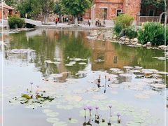 -晋江五店市传统文化旅游区