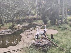 -南宁市动物园