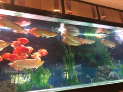 -弘安丽水温泉酒店