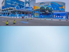 -海合安青岛极地海洋公园