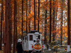 -黄海国家森林公园