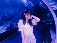 -江和美海洋公园