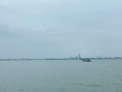 -海鸥岛