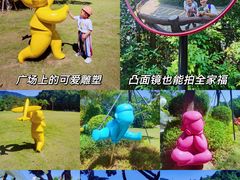 -银湖山郊野公园-相思林