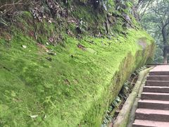 -乐山大佛风景名胜区乌尤寺南门-售票点